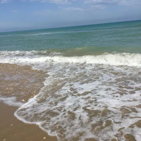 Medusa * ألبا أدرياتيكا